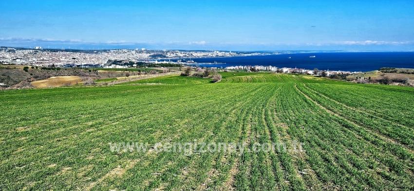 Terrain For sale in Barbaros Nbh. Süleymanpaşa Kumbağ - Housing Zoned - 19.533 m²