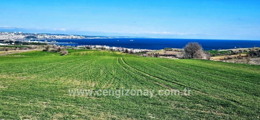 Terrain For sale in Barbaros Nbh. Süleymanpaşa Kumbağ - Housing Zoned - 19.533 m²