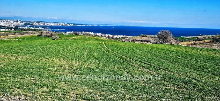 Terrain For sale in Barbaros Nbh. Süleymanpaşa Kumbağ - Housing Zoned - 19.533 m²