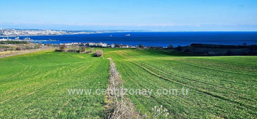 Terrain For sale in Barbaros Nbh. Süleymanpaşa Kumbağ - Housing Zoned - 19.533 m²