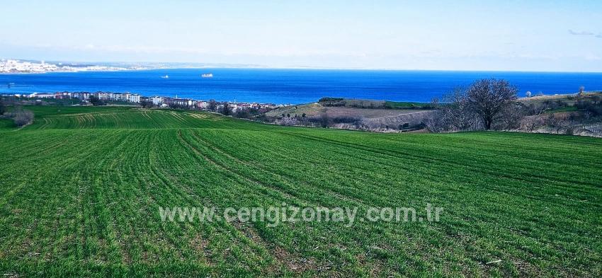 Terrain For sale in Barbaros Nbh. Süleymanpaşa Kumbağ - Housing Zoned - 19.533 m²