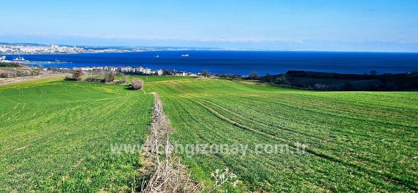 Terrain For sale in Barbaros Nbh. Süleymanpaşa Kumbağ - Housing Zoned - 19.533 m²