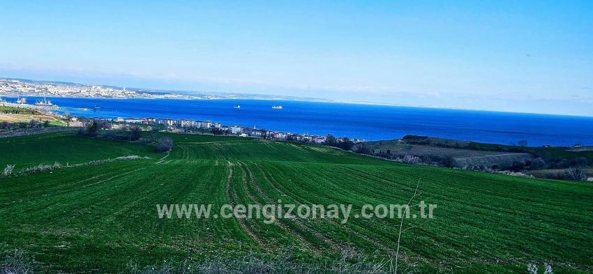 Terrain For sale in Barbaros Nbh. Süleymanpaşa Kumbağ - Housing Zoned - 19.533 m²
