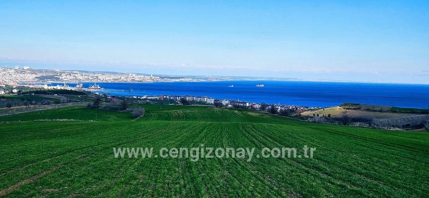 Terrain For sale in Barbaros Nbh. Süleymanpaşa Kumbağ - Housing Zoned - 19.533 m²