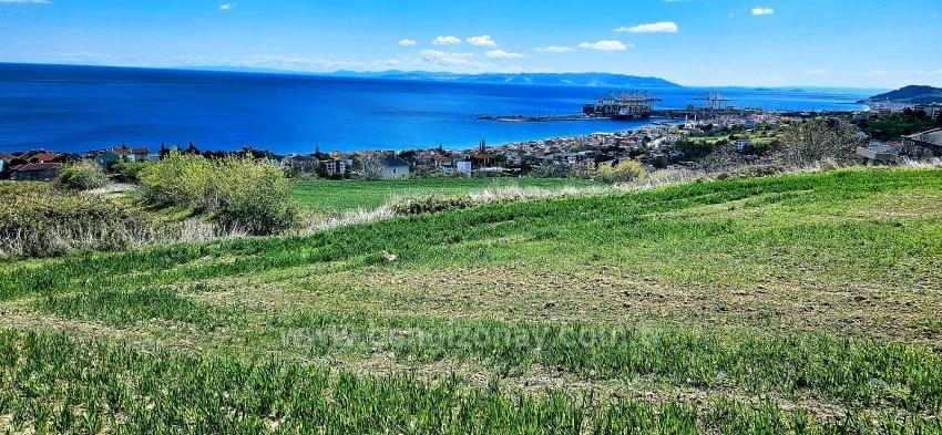 15 Luxury Villas With Unique Full Sea And Nature Views, Located In A Suitable Area For The Project