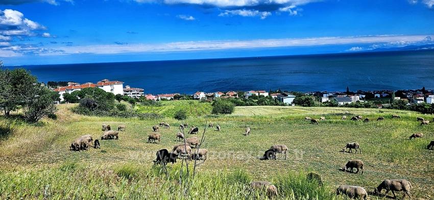 45 2+1 Apartments With Unique Full Sea And Nature Views, Suitable For Cooperative Projects