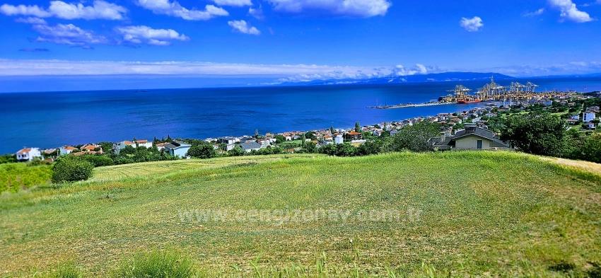 15 Luxury Villas With Unique Full Sea And Nature Views, Located In A Suitable Area For The Project