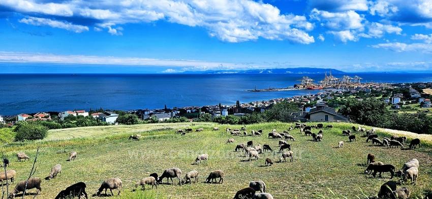 45 2+1 Apartments With Unique Full Sea And Nature Views, Suitable For Cooperative Projects