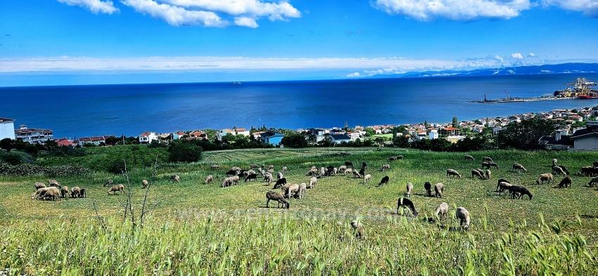 45 2+1 Apartments With Unique Full Sea And Nature Views, Suitable For Cooperative Projects