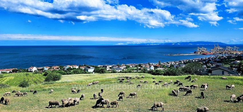 45 2+1 Apartments With Unique Full Sea And Nature Views, Suitable For Cooperative Projects