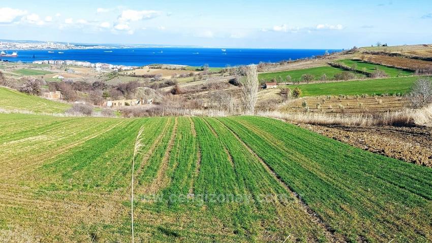 Land Suitable For 8 Villa Projects With Full Sea And Nature Views In Tekirdağ Barbarosta