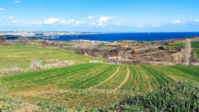Land Suitable For 8 Villa Projects With Full Sea And Nature Views In Tekirdağ Barbarosta