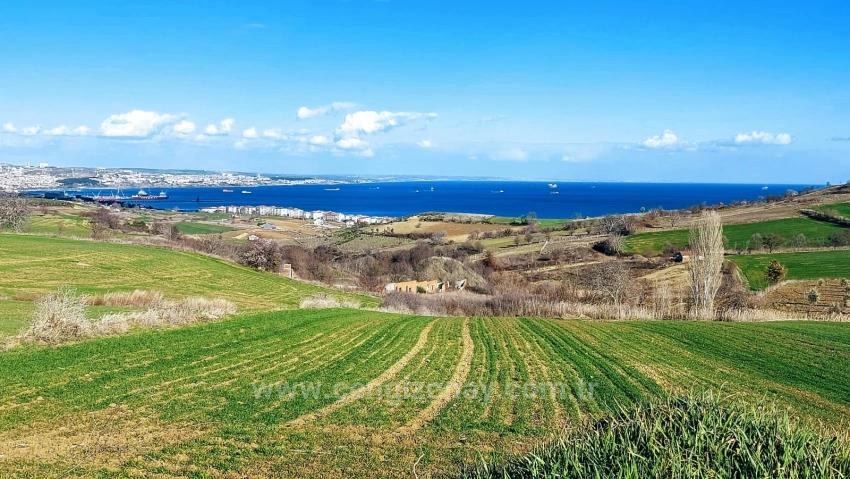 Land Suitable For 8 Villa Projects With Full Sea And Nature Views In Tekirdağ Barbarosta