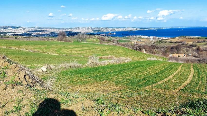 Land Suitable For 8 Villa Projects With Full Sea And Nature Views In Tekirdağ Barbarosta