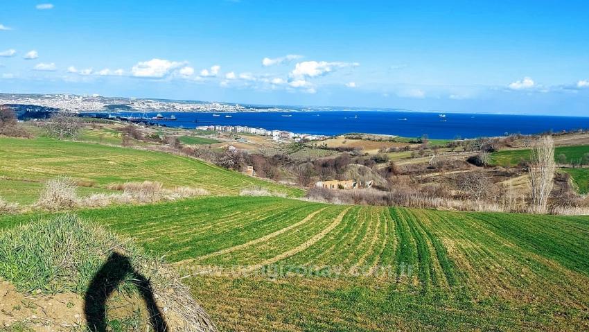 Land Suitable For 8 Villa Projects With Full Sea And Nature Views In Tekirdağ Barbarosta