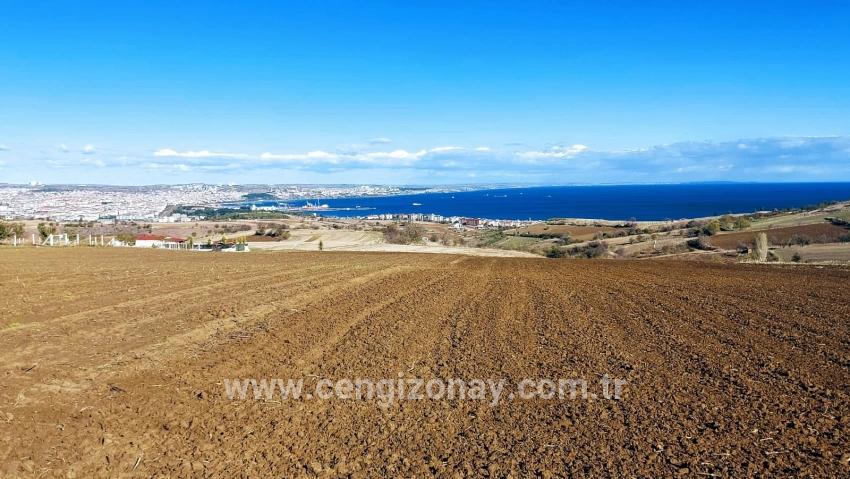 Terrain For sale in Barbaros Nbh. Süleymanpaşa Kumbağ - Villa Zoned - 6.350 m²