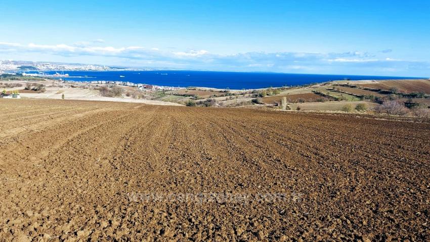 Land For Urgent Sale Suitable For 12 Villa Projects With Magnificent Sea And Nature Views