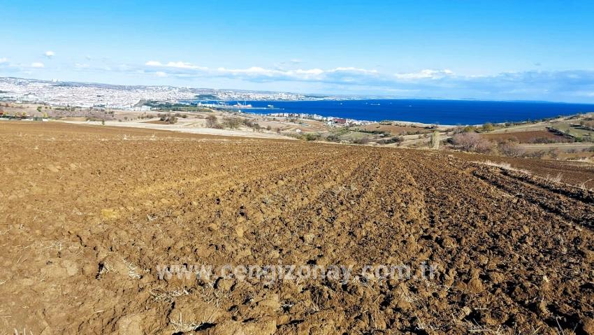 Terrain For sale in Barbaros Nbh. Süleymanpaşa Kumbağ - Villa Zoned - 6.350 m²