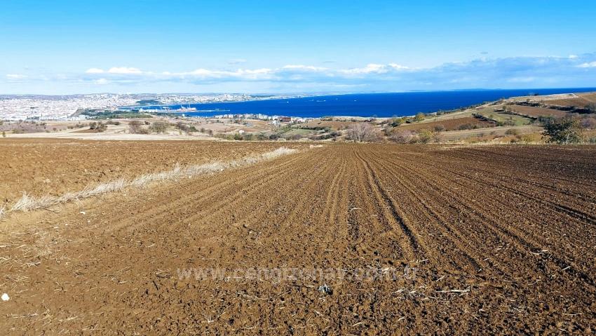 Land For Urgent Sale Suitable For 12 Villa Projects With Magnificent Sea And Nature Views