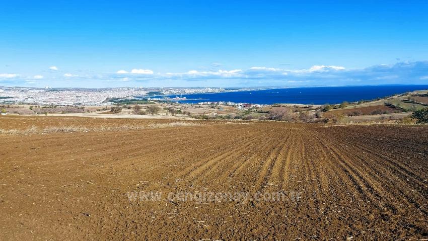 Land For Urgent Sale Suitable For 12 Villa Projects With Magnificent Sea And Nature Views