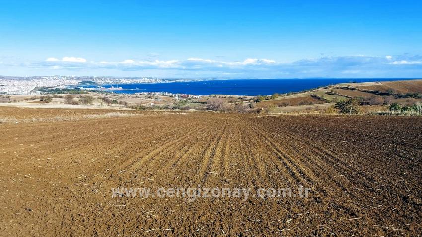 Terrain For sale in Barbaros Nbh. Süleymanpaşa Kumbağ - Villa Zoned - 6.350 m²
