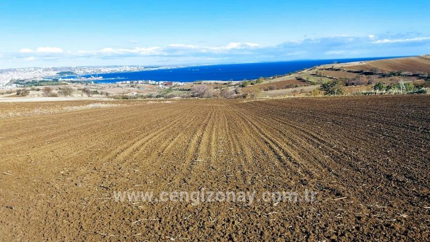 Terrain For sale in Barbaros Nbh. Süleymanpaşa Kumbağ - Villa Zoned - 6.350 m²