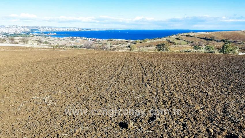 Terrain For sale in Barbaros Nbh. Süleymanpaşa Kumbağ - Villa Zoned - 6.350 m²