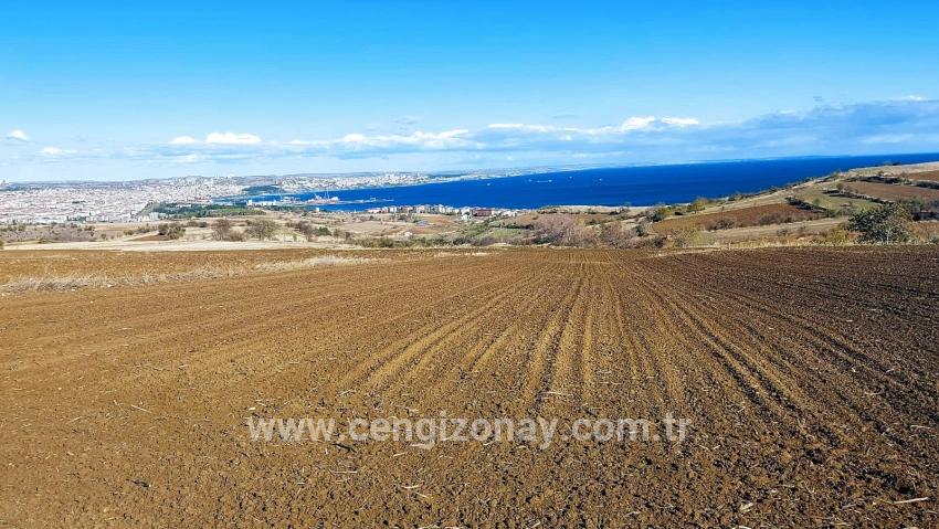 Terrain For sale in Barbaros Nbh. Süleymanpaşa Kumbağ - Villa Zoned - 6.350 m²