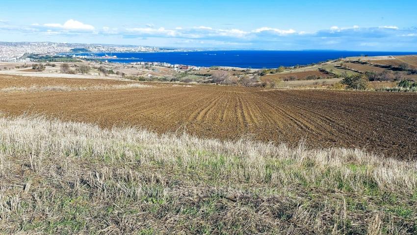 Land For Urgent Sale Suitable For 12 Villa Projects With Magnificent Sea And Nature Views