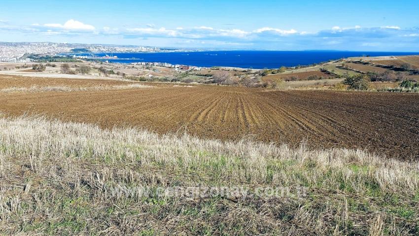 Terrain For sale in Barbaros Nbh. Süleymanpaşa Kumbağ - Villa Zoned - 6.350 m²