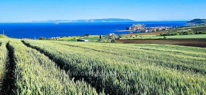 Land Suitable For Cooperative And Site Projects With 50 Apartments And Full Sea And Nature Views