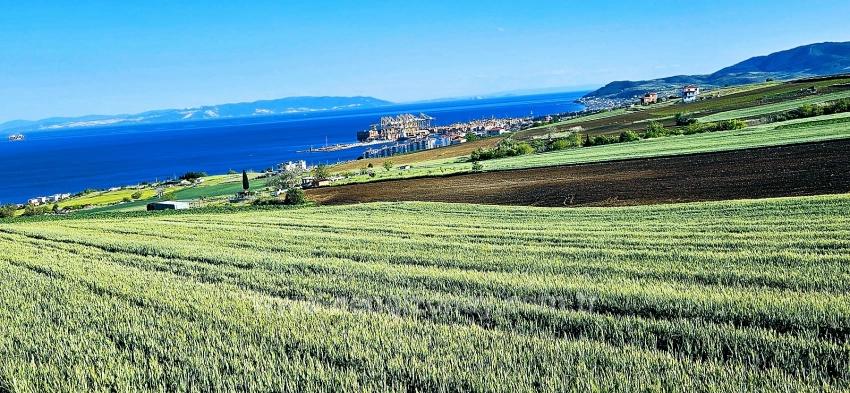 Land Suitable For Cooperative And Site Projects With 50 Apartments And Full Sea And Nature Views