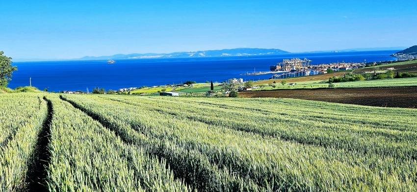 Land Suitable For Cooperative And Site Projects With 50 Apartments And Full Sea And Nature Views