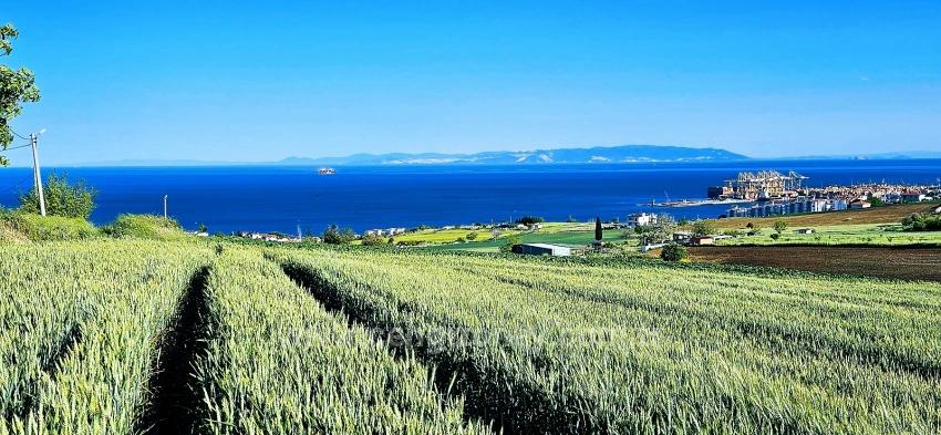 Land Suitable For Cooperative And Site Projects With 50 Apartments And Full Sea And Nature Views