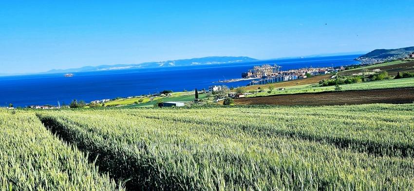 Land Suitable For Cooperative And Site Projects With 50 Apartments And Full Sea And Nature Views