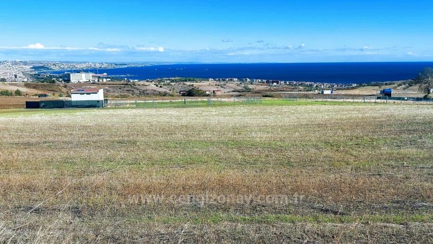 Apply Emergency Hourly Luxury Villa Project, Provide High Earnings, Completely Full Sea And Nature View