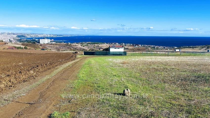 Apply Emergency Hourly Luxury Villa Project, Provide High Earnings, Completely Full Sea And Nature View