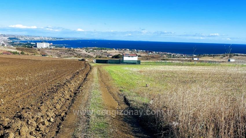 32 Luxury Villas With Great Sea, Nature And City Views, Opportunity Land Suitable For The Project