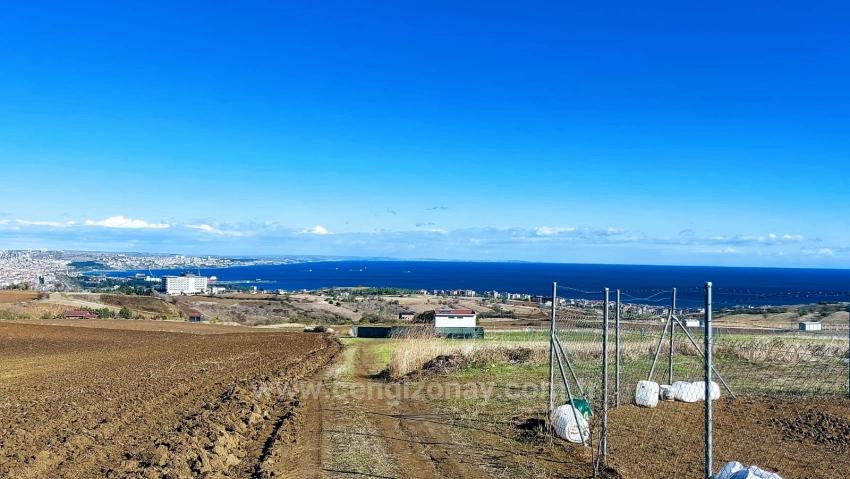 Apply Emergency Hourly Luxury Villa Project, Provide High Earnings, Completely Full Sea And Nature View