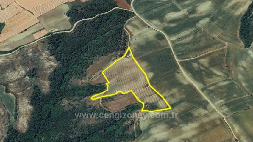 *Barter+Cash* Build A Farm With State Support* Produce And Grow* Secure Your Future*