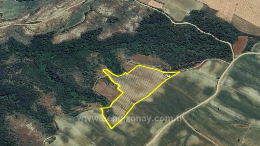 *Barter+Cash* Build A Farm With State Support* Produce And Grow* Secure Your Future*