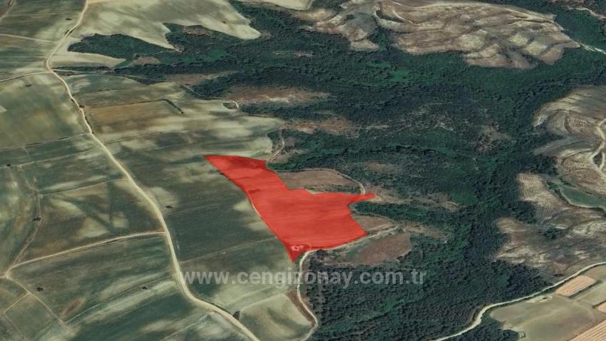 *Barter+Cash* Build A Farm With State Support* Produce And Grow* Secure Your Future*