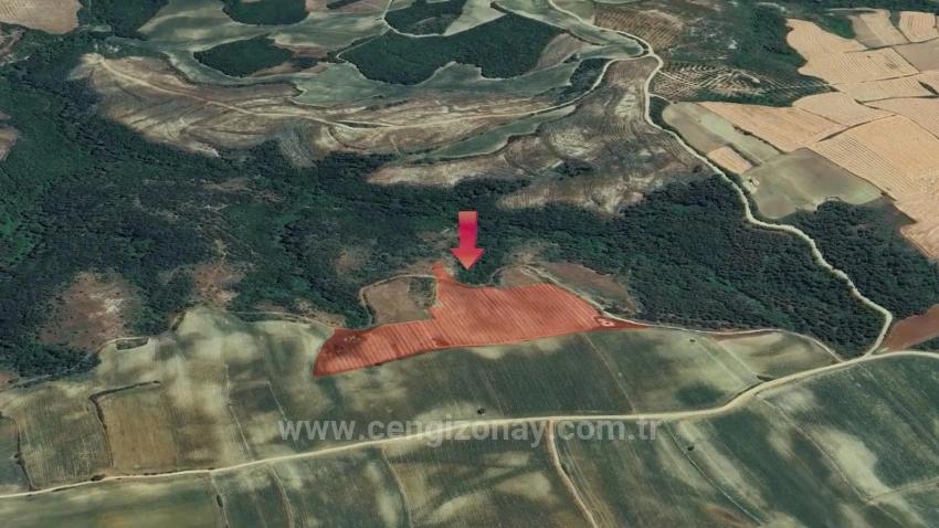 *Barter+Cash* Build A Farm With State Support* Produce And Grow* Secure Your Future*