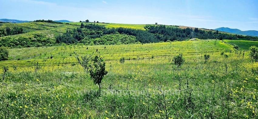 *Barter+Cash* Build A Farm With State Support* Produce And Grow* Secure Your Future*