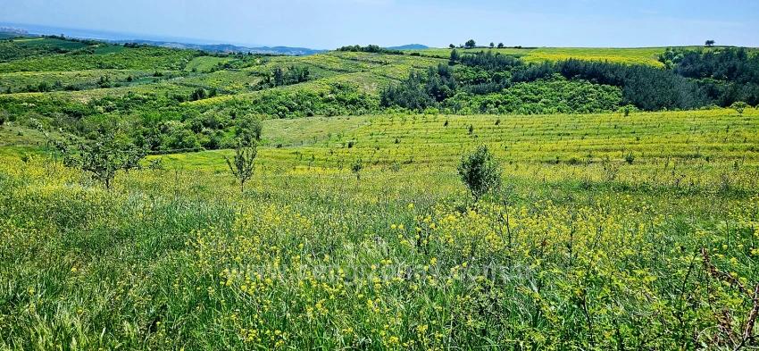 *Barter+Cash* Build A Farm With State Support* Produce And Grow* Secure Your Future*