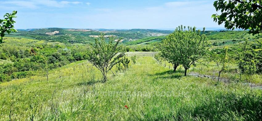 *Barter+Cash* Build A Farm With State Support* Produce And Grow* Secure Your Future*