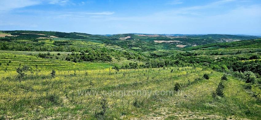 *Barter+Cash* Build A Farm With State Support* Produce And Grow* Secure Your Future*