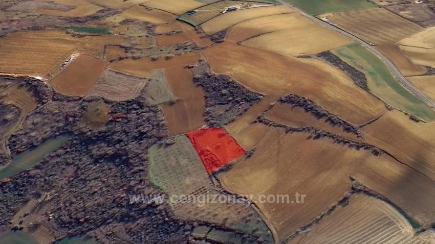 Investment Opportunity: Guaranteed High Profit In The Short Term For Those Who Want To Buy And Sell