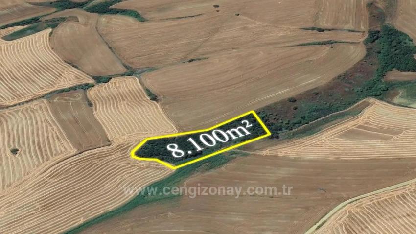An Unmissable Investment Opportunity: 8,100 M² Of Bargain Land In The Oruç Beyli Neighborhood Of Tekirdağ.
