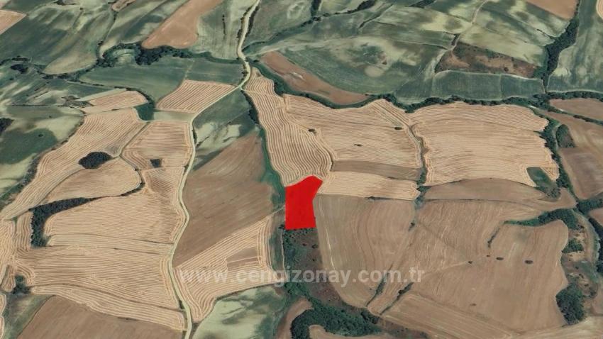 An Unmissable Investment Opportunity: 8,100 M² Of Bargain Land In The Oruç Beyli Neighborhood Of Tekirdağ.